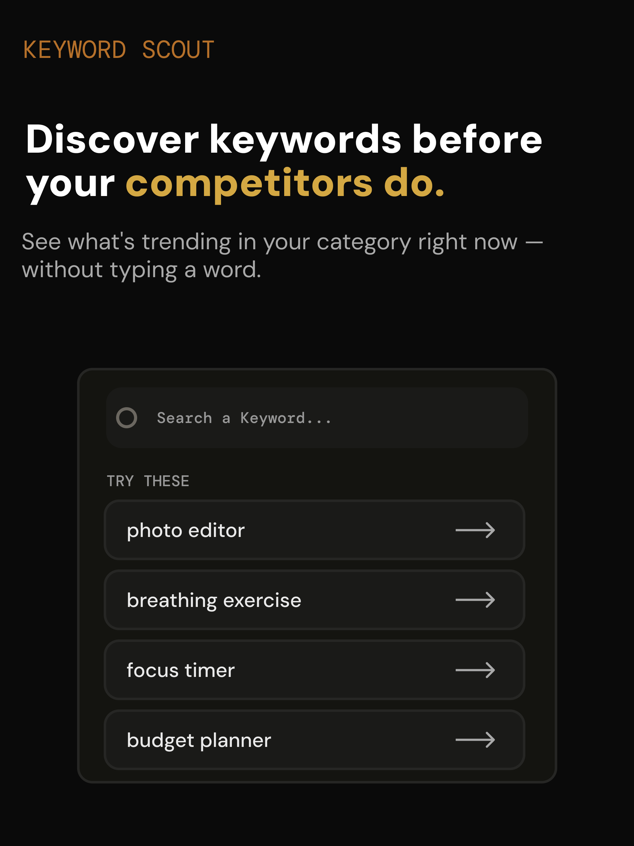 Keyword Scout on iPad — keyword search